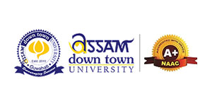Assam Down Town University